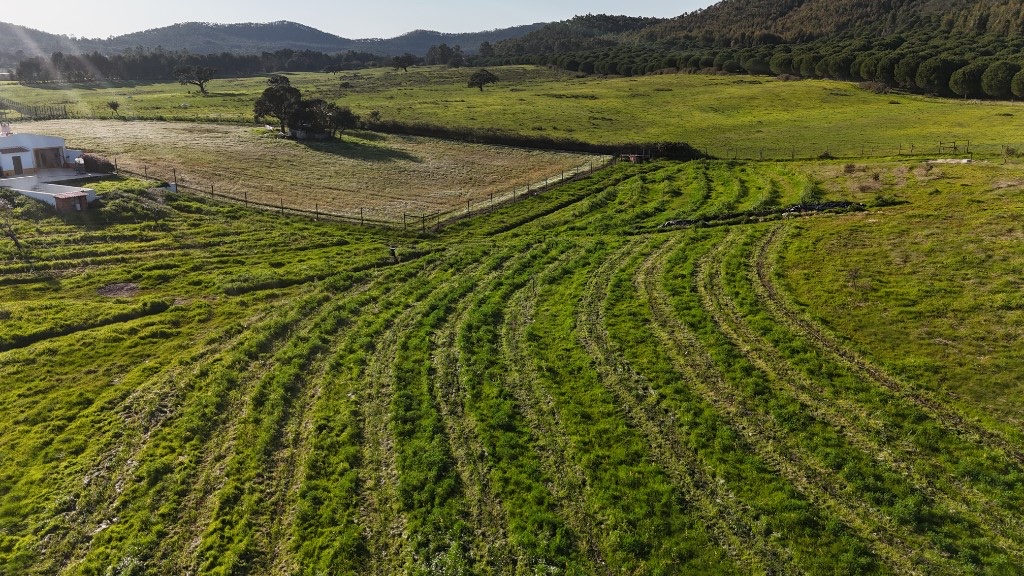 Aerial of contour planting rows and a house in São Luís